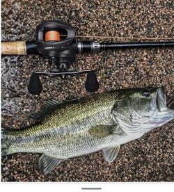 Piscifun Torrent II Baitcasting Fishing Reel, 20LB Carbon Fiber Drag Baitcasters, 6.6:1/8.1:1 Gear Ratio & Magnet Braking System Low Profile Casting R