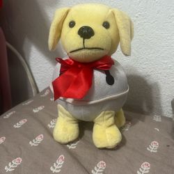 Toy