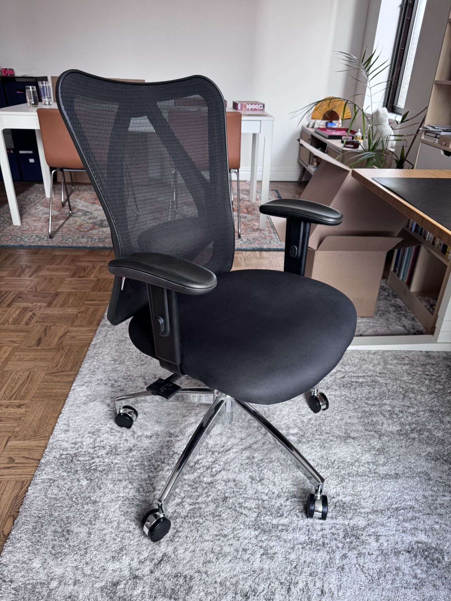 Ergonomic Office Chair