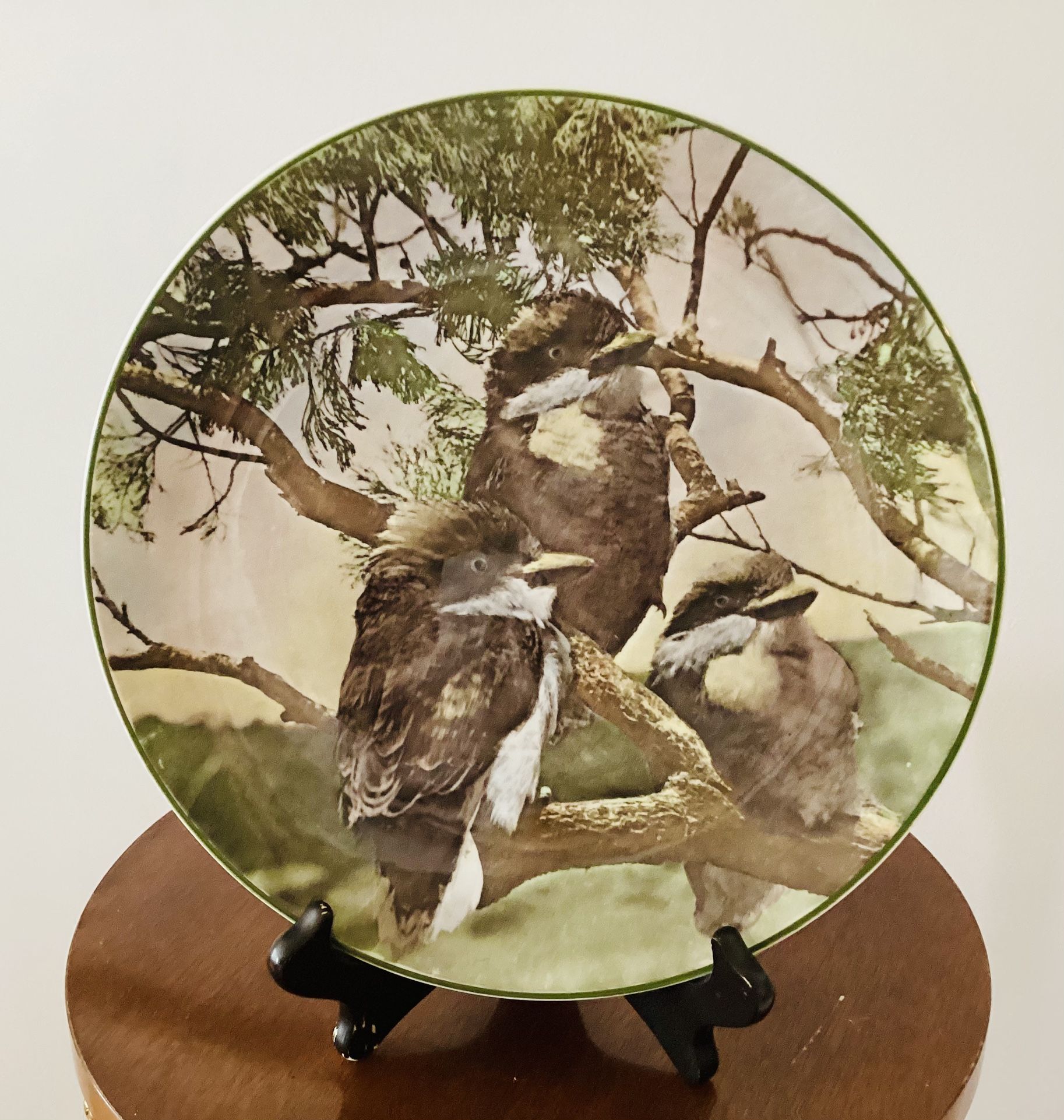 Royal Doulton Young Kookaburras Decorative Plate, Royal Doulton Bird Plate, Royal Doulton China, Home Decor, Decorative Bird plate, Plates