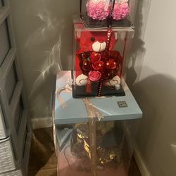 Light Up Teddy Bears