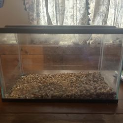 Fish Tank