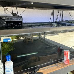 Various Aquariums 