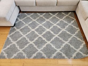 5' x 7' Gray & White Shag Area Rug – Great Condition