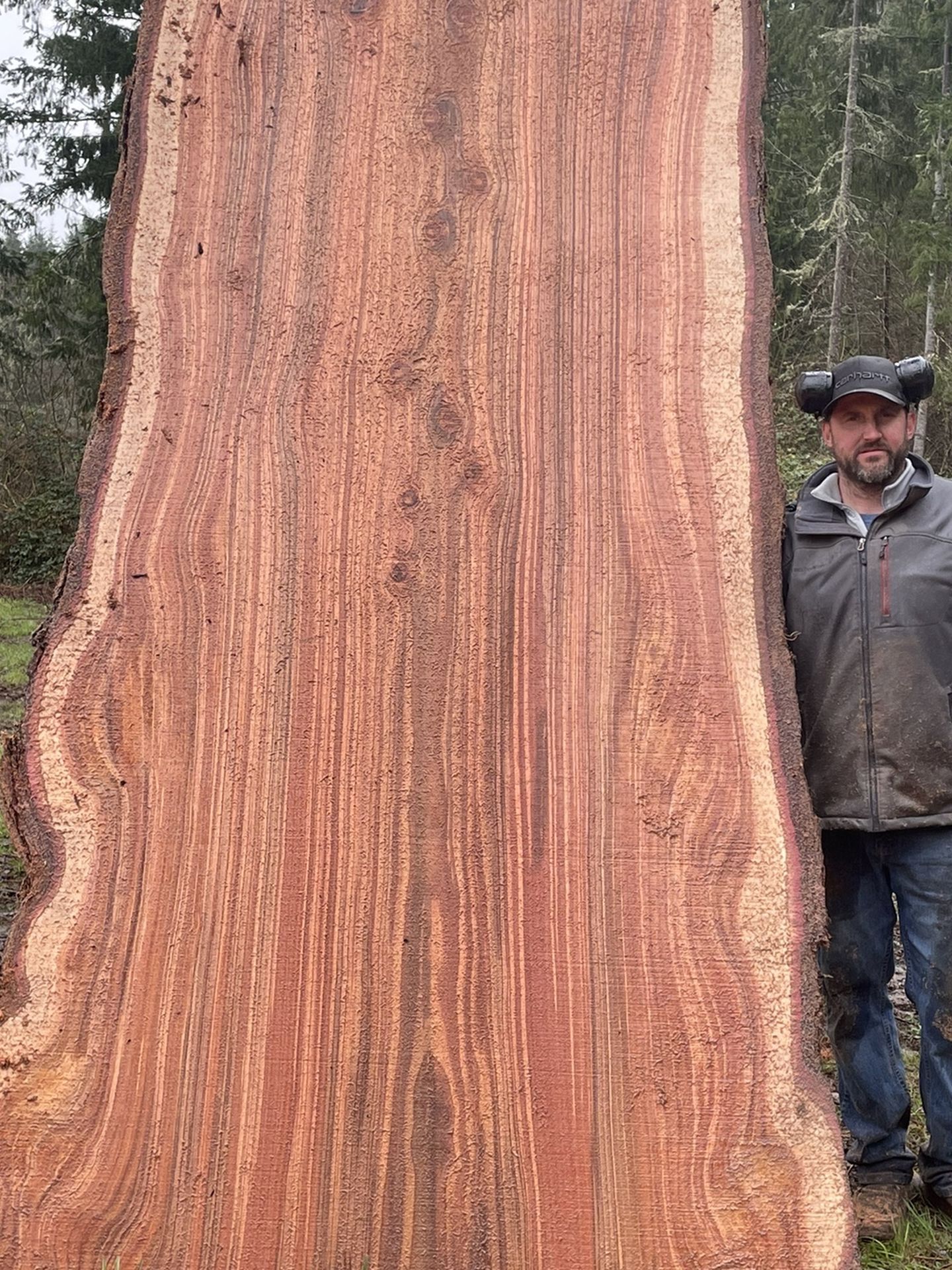 2 Huge Redwood Slabs!!! Live Edge Beauties For $600 Each
