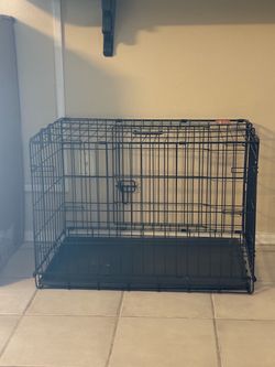 Dog Cage