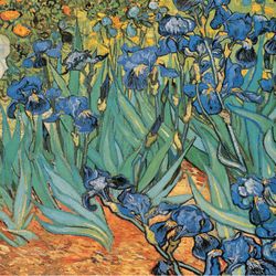 Van Gogh Garden Of Irises Wall Poster