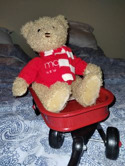 Radio Flyer With Bear 
