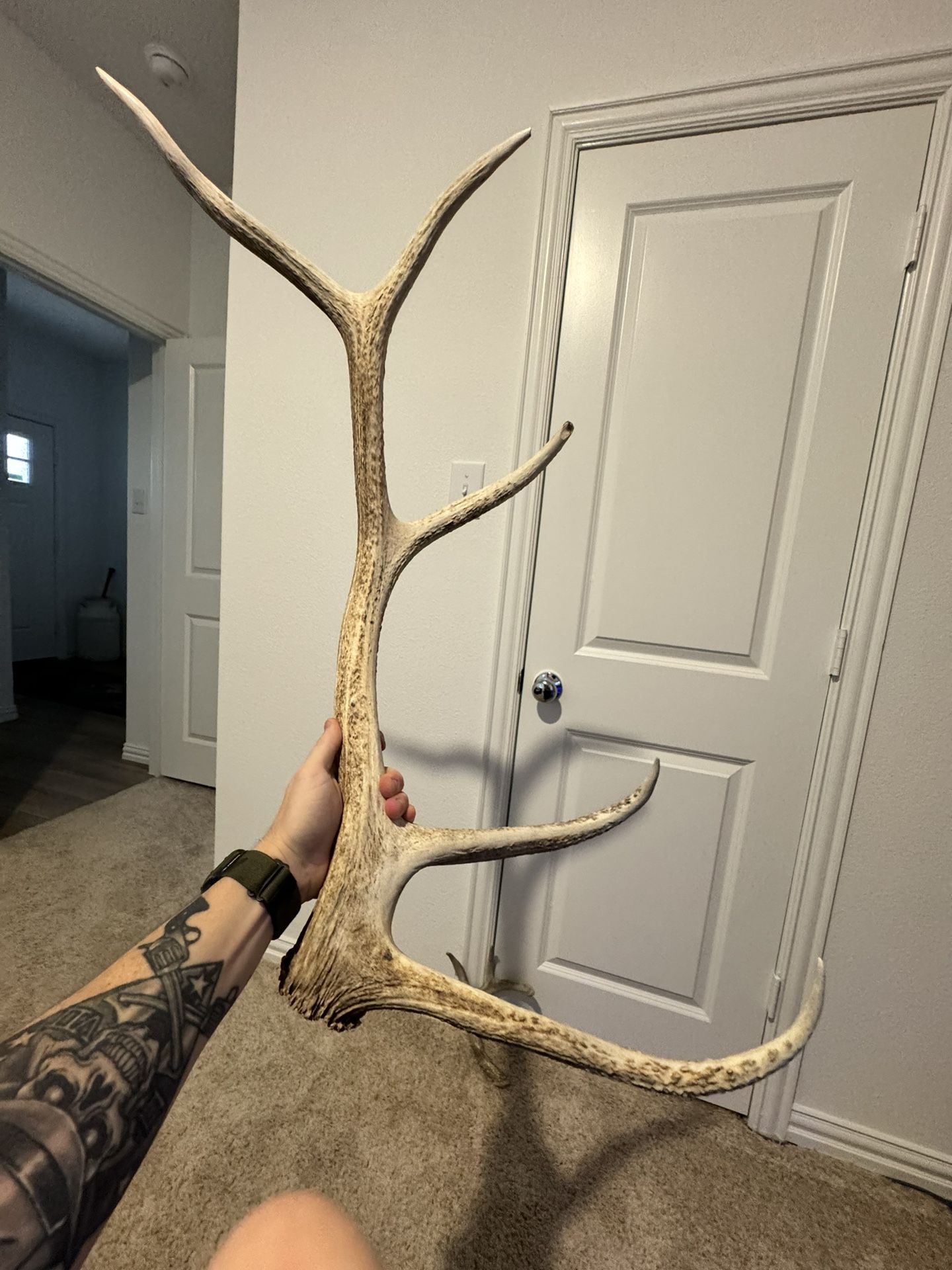 Elk Shed