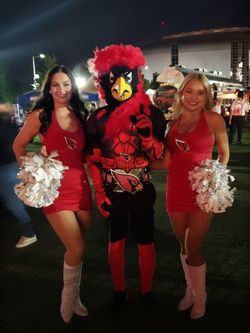 Cardinals vs seahawks