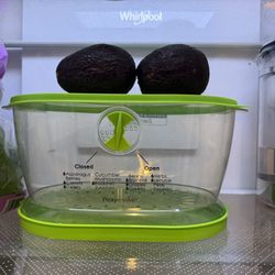 Produce/ Lettuce Container 