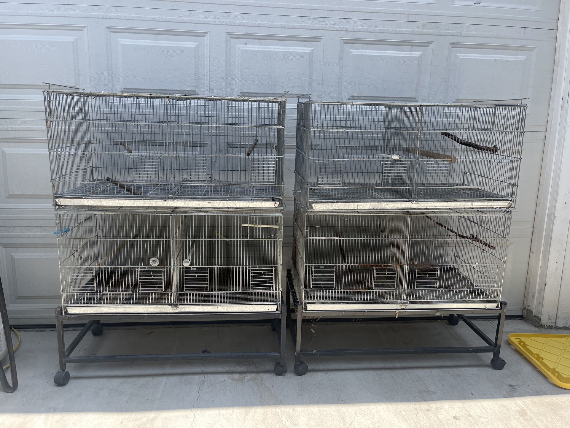 Bird Cage