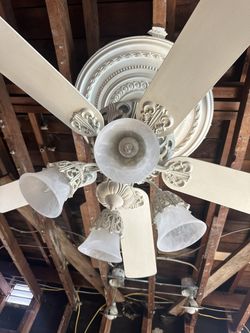 Ceiling Fan