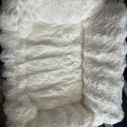 Pets Bed