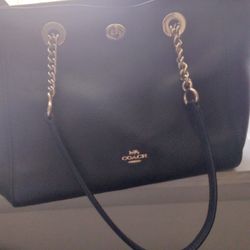 Coach And Michael KORS purse 