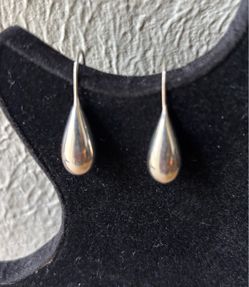 Jewelry Silver Stainless Steel Drop Earrings.