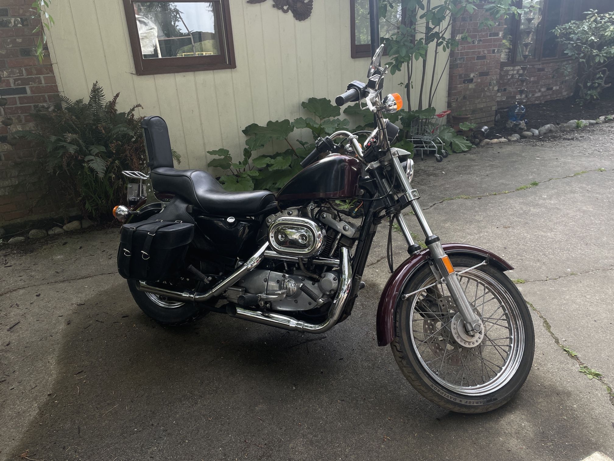 1984 HARLEY ROADSTER