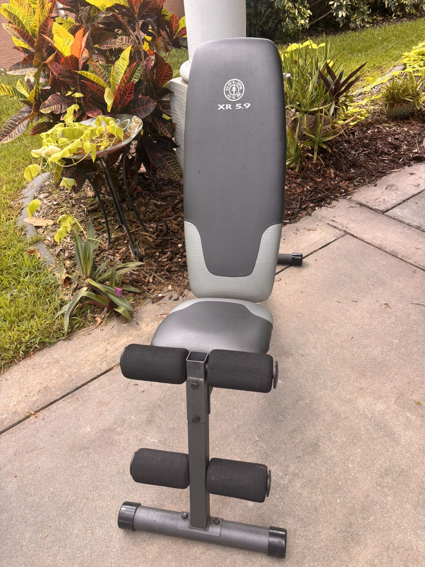 Golds Gym Workout Bench