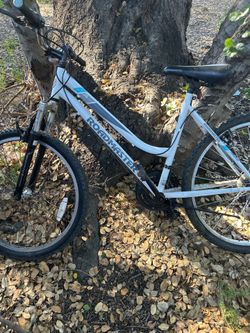 Used roadmaster bike
