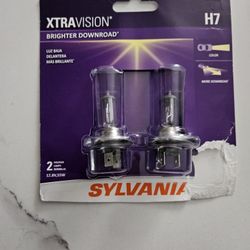 Headlight Light Bolb