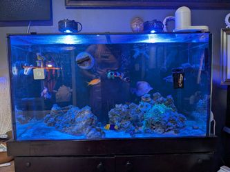 Planet Aquarium 65 Gallon Tank With Stand And Sump No Fish