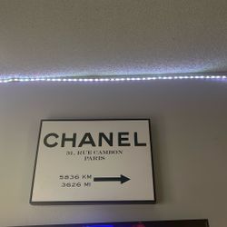 Chanel Canvas 
