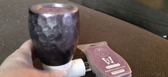 Scentsy fragrant night lite