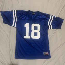 Peyton Manning Indianapolis Colts Logo Athletic Nylon Jersey (Men’s M)