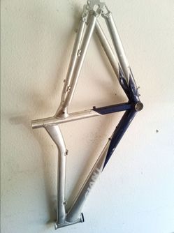 Giant bike frame