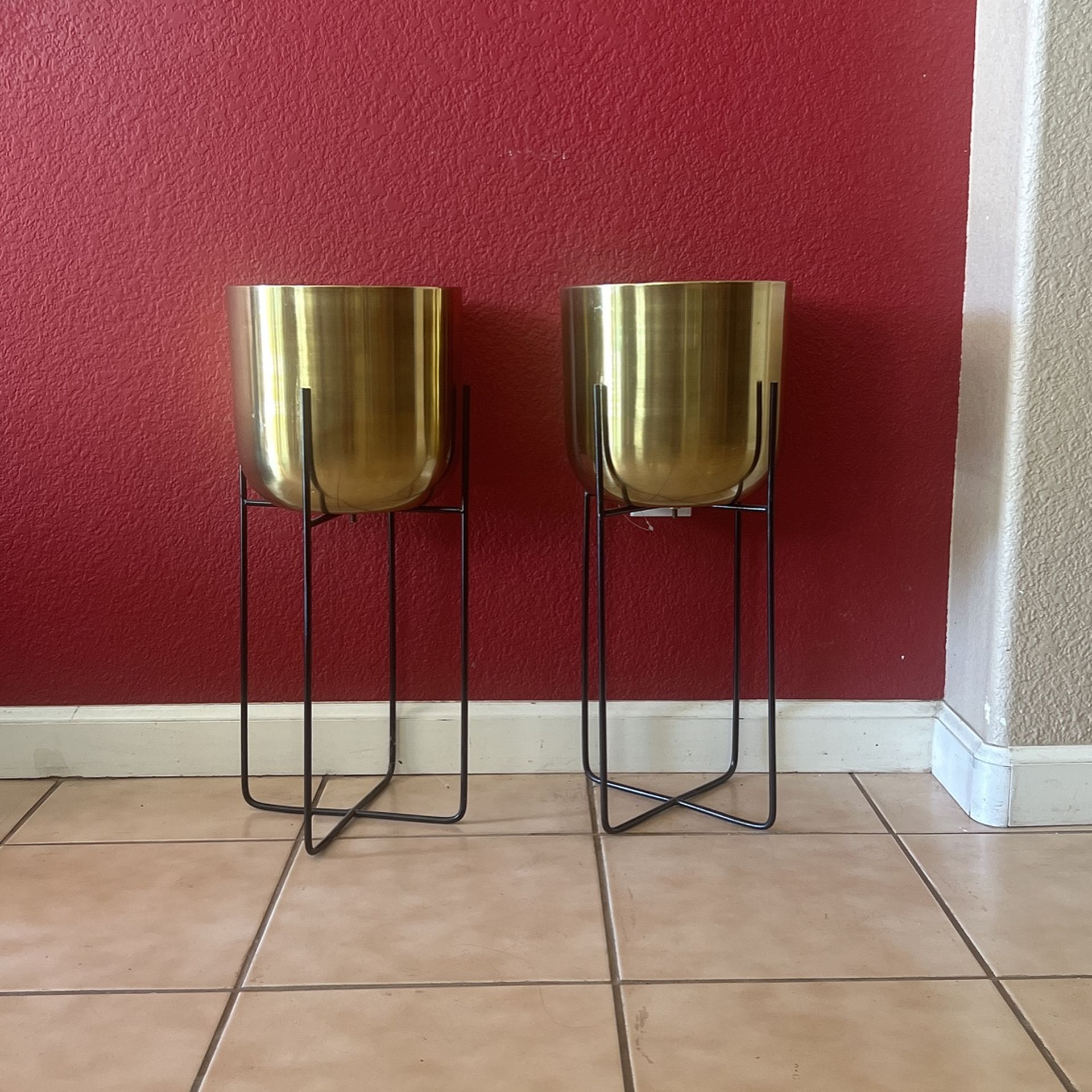 Golden Plants Pot Set ( Planters)