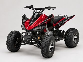 Standard ATV250CC with Reverse
