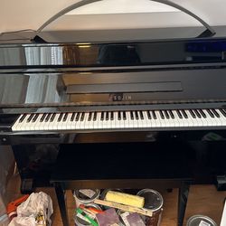 Sojin Black Piano