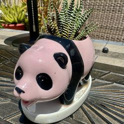 🐼 🔥 Rare Pink Panda 2pc Planter - w Succulent!! 🪴 