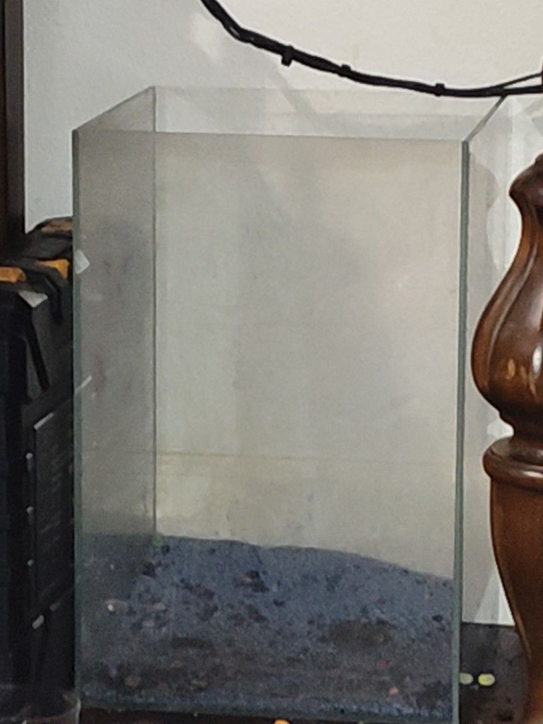 10 Gallon Rimless Tank