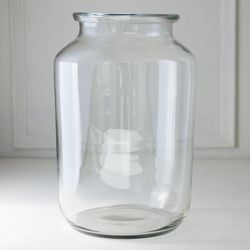 12 Clear Tall  Glass Flower Vase 