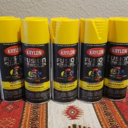 Sunbeam 6 Cans For 20.00 Spray Paint