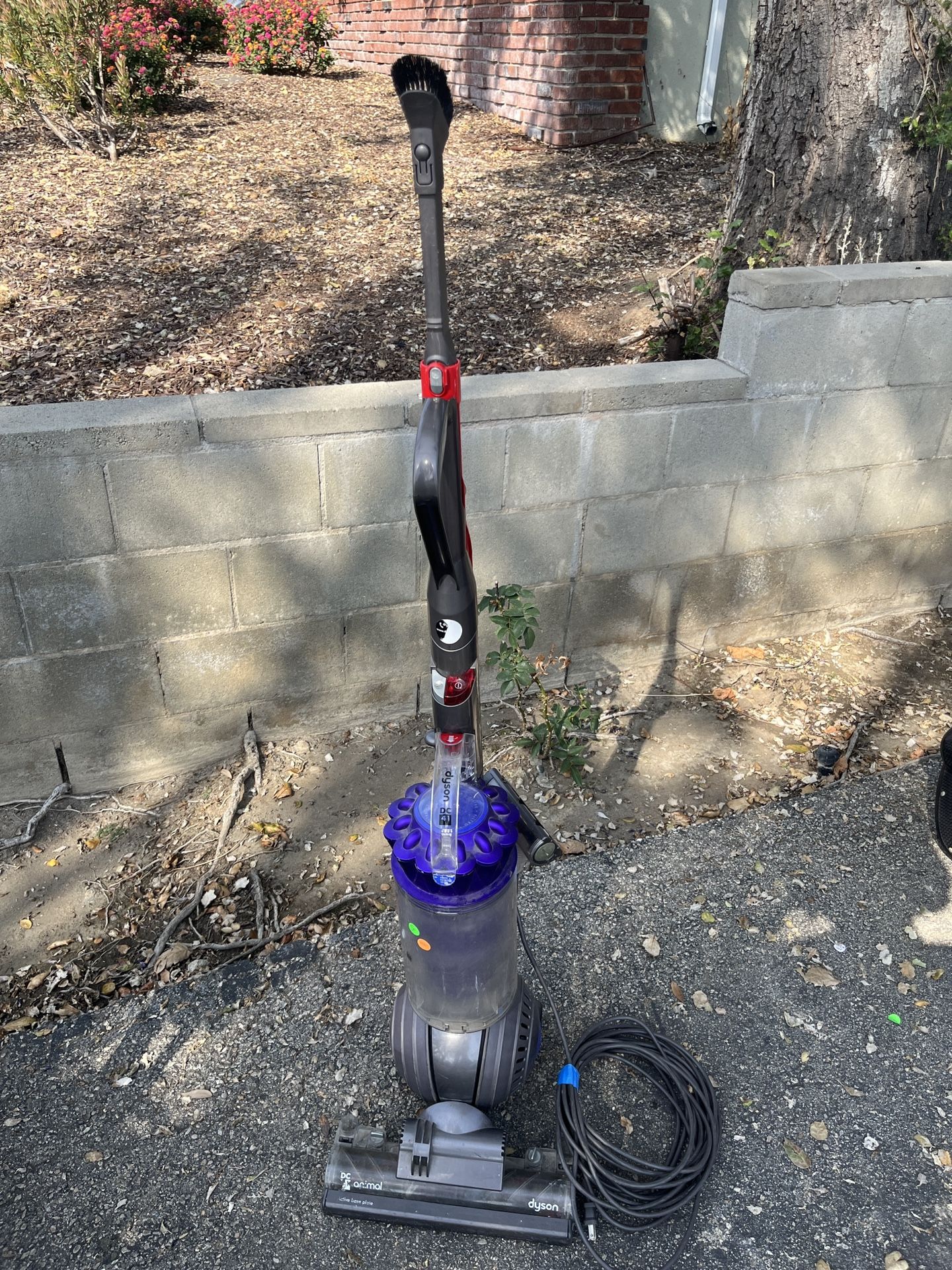 Used Dyson DC 41 Animal Upright Vacuum