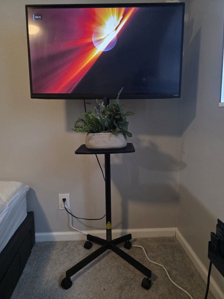 40" Vizio w/ Stand