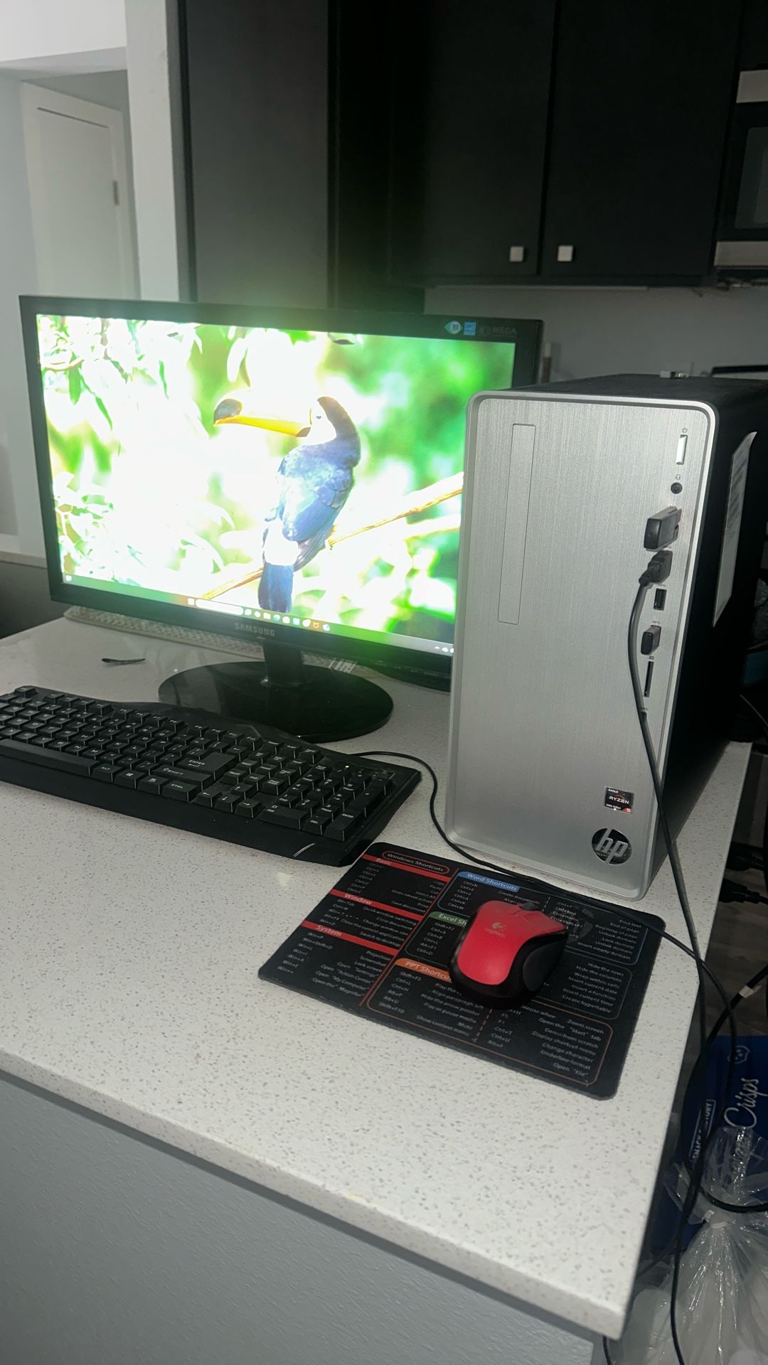 HP Desktop Computer Ryzen AMD