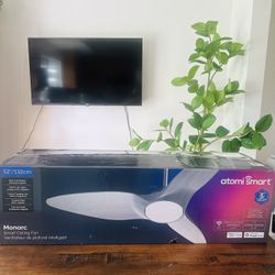 Atomi Smart WiFi 52" Indoor Ceiling Fan-3 Blades, 6-speed Reversible Motor,App Control, 
