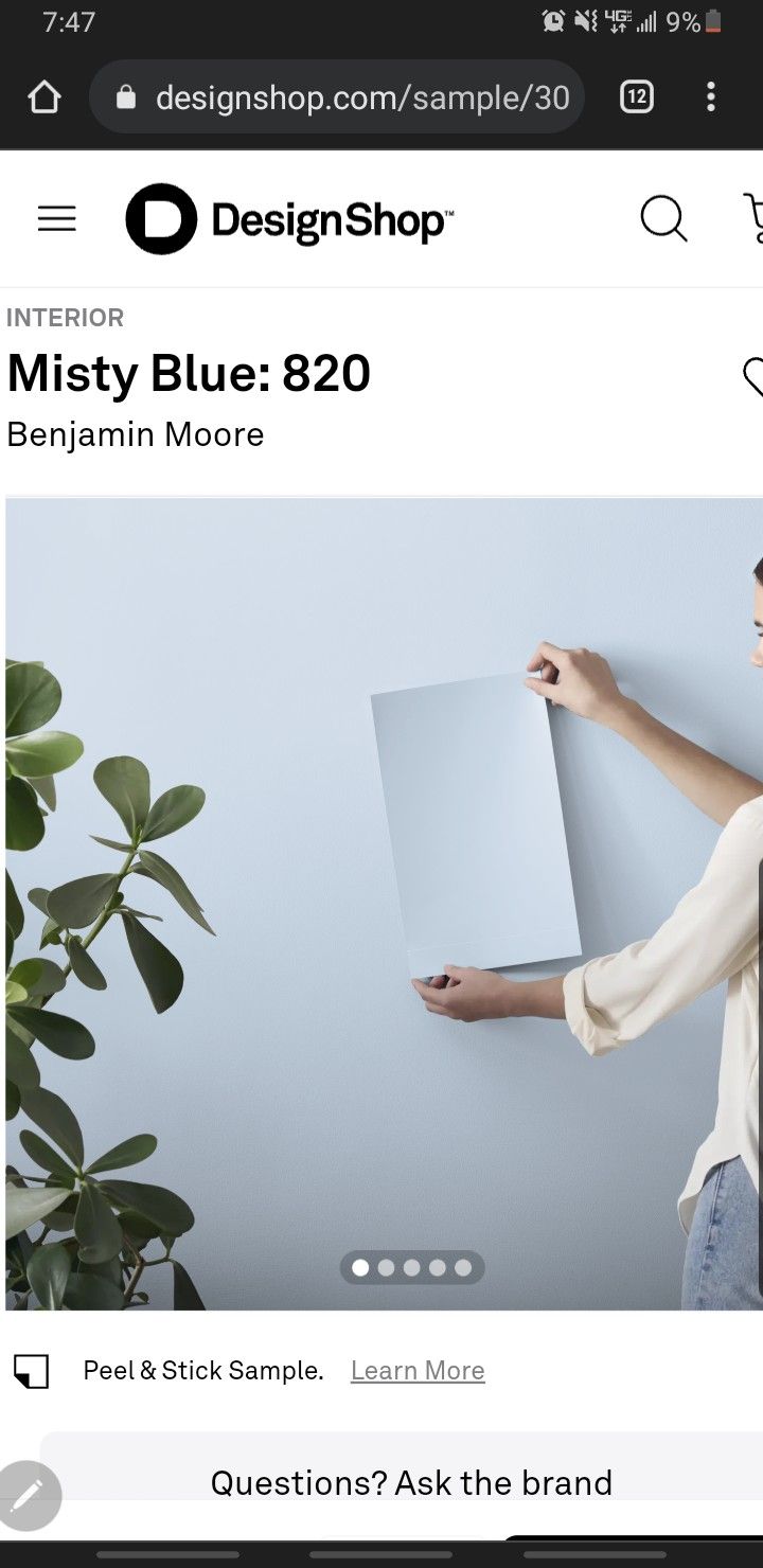 benjamin Moore 820 " Misty Blue " paint Color 