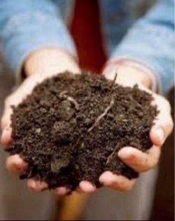 Top Soil Black Dirt With Sand