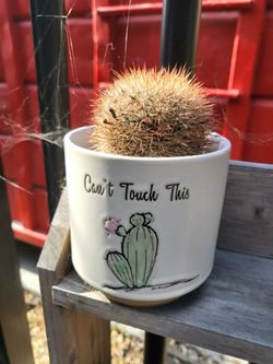 Small Planter Pots