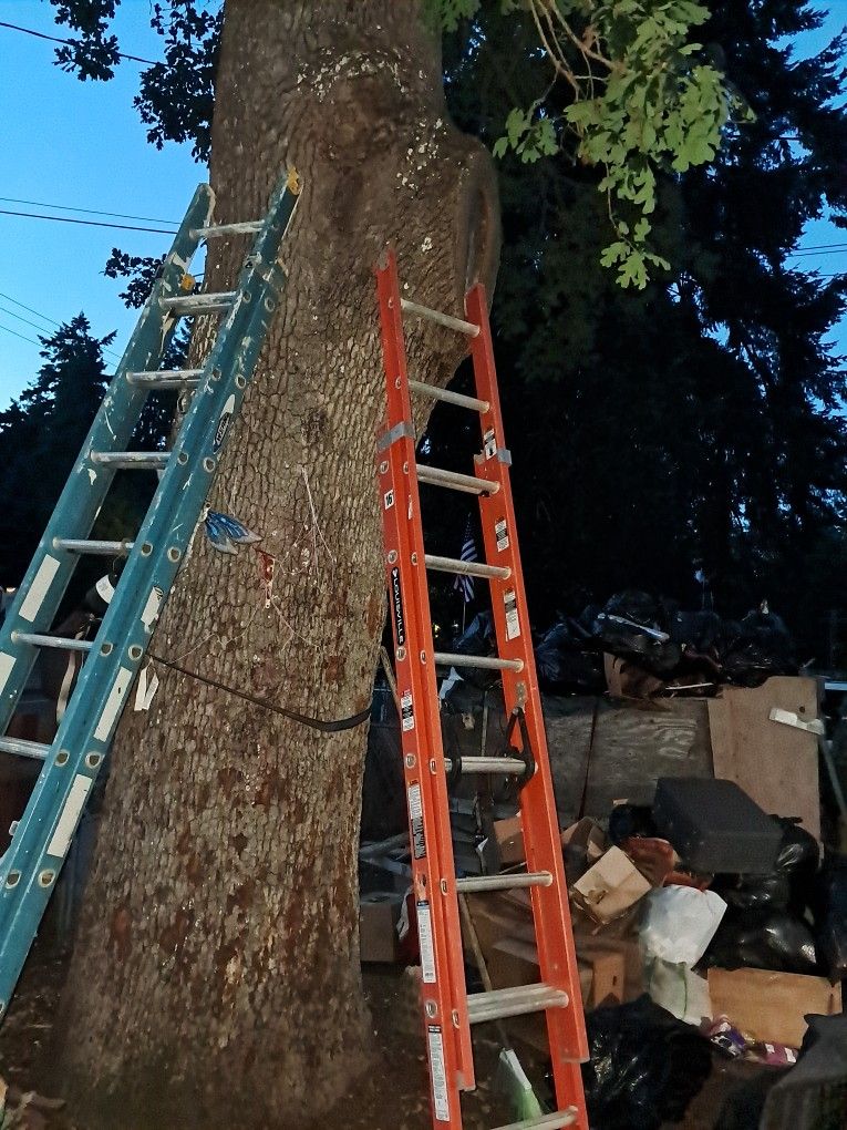 16' Ladders