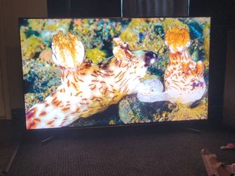 65inch sony smart tv