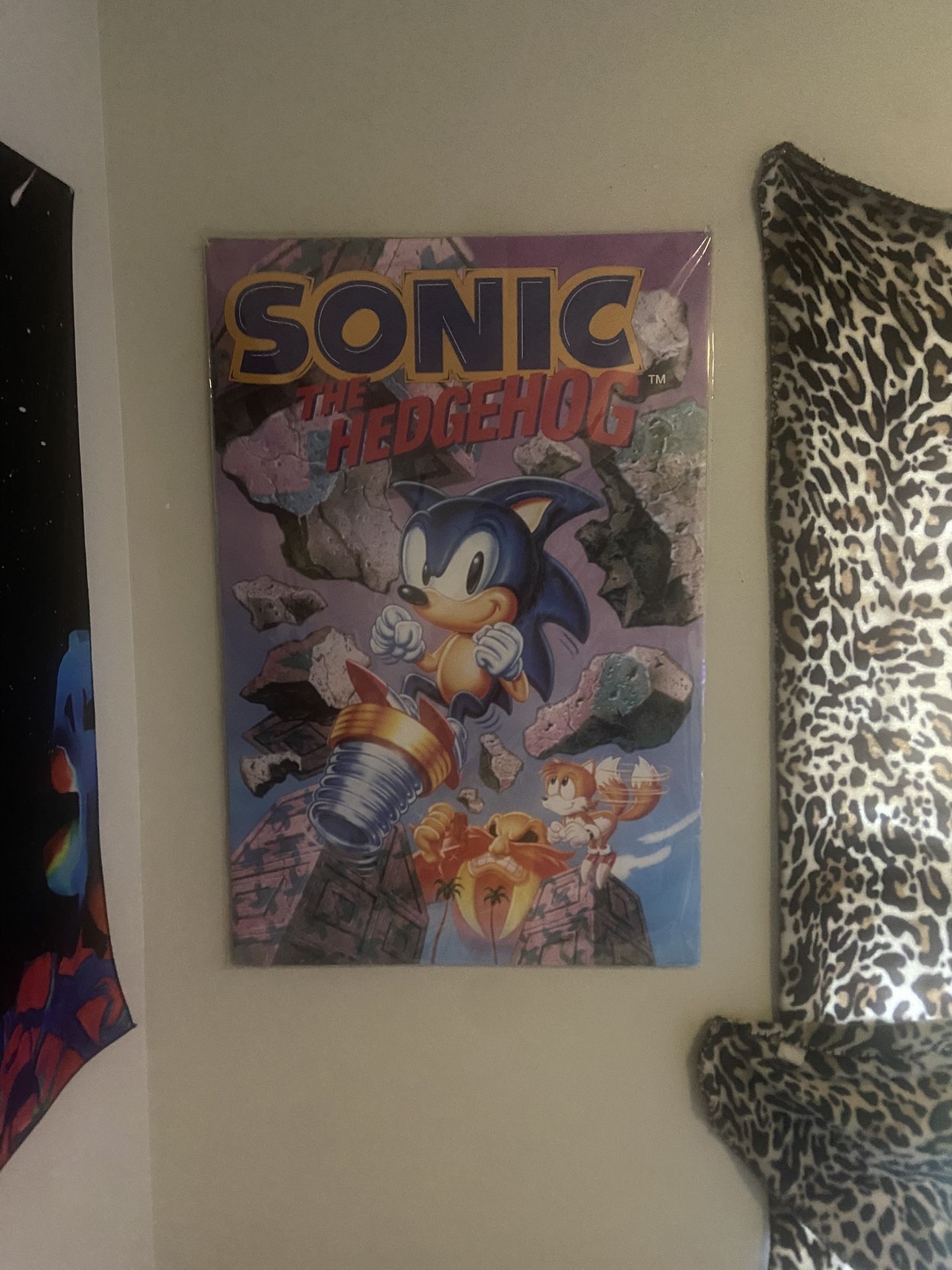 Sonic Vintage Poster