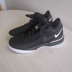 Tenis Nike zoom LeBron NXXT talla 8