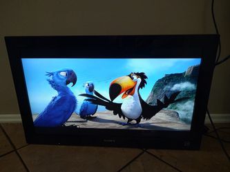 Tv 32  Inch Sony Works Well