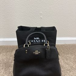 Coach Mini Lillie Carryall