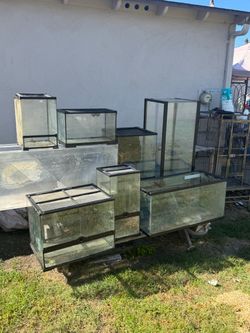 Reptile enclosure